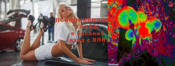2c-b Вяземский