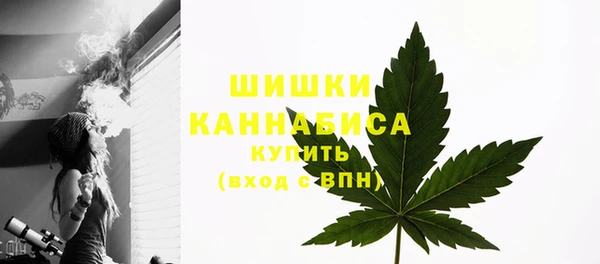 2c-b Вяземский
